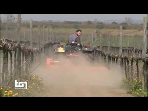 Presentazione Rapporto SVIMEZ 2019 – TG1 Economia del 4 novembre 2019