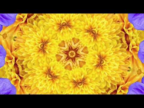 Kaleidoscopic Emporium Waltz of the Flowers Kaleidoscope Chill Out Meditation