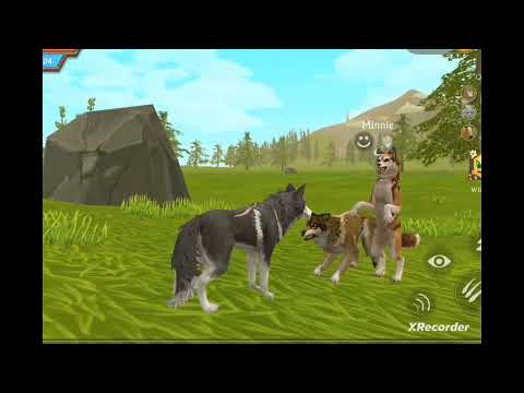 Wolf's promeses/Wildcraft music video🎄