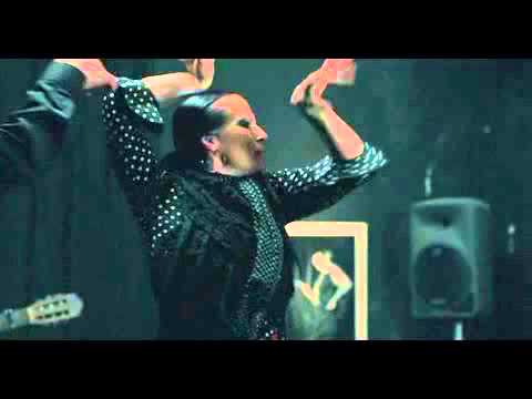 Excerpt from "The Limits of Control" (2009)