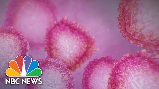New Research Shows COVID-19 Patients Who Test Positive Second Time May Not Be Infectious | NBC News