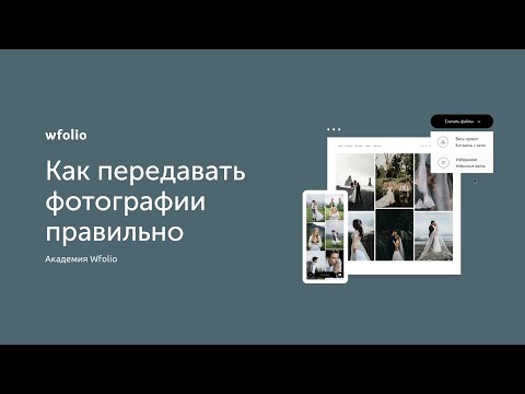 Видеообзор wfolio