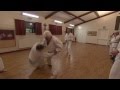 Nijushiho Bunkai