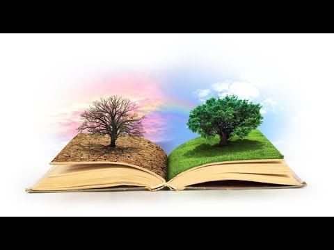 Bereshit - Thoughts On Our Divine Origin and the Purpose of the Tree of Knowledge