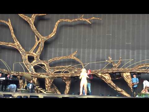 Helene Fischer Basel 23.06.2015 - Verpatzes Selfy