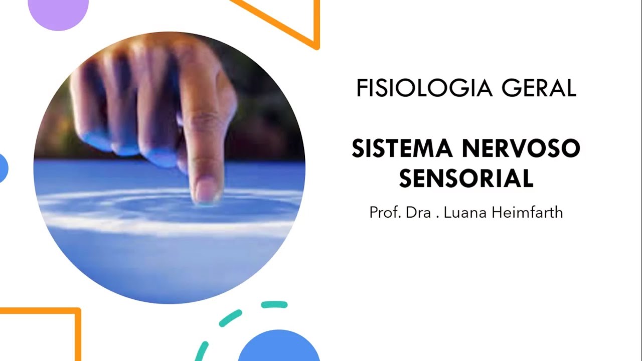 MÓDULO 1 - Aula 5: Sistema somatossensorial - sensações somáticas