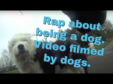 Jester Jacobs - I'm Dog