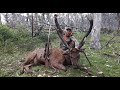 THE 30 INCH STAG IS DOWN