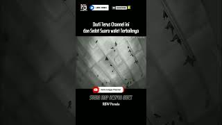 Download lagu Suara Panggil dan Inap Walet Terbaik SWT mp3