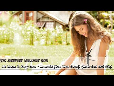 Ad Brown & Kerry Leva - Memorial You Were Loved Maor Levi Club Mix