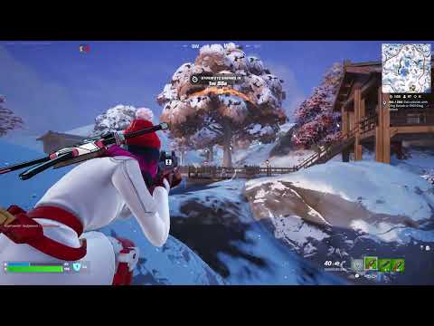 Fortnite 2025 01 08   02 32 58 339 Elimination DVR