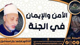 الدكتور – محمد بكر اسماعيل (الأمن والإيمان في الجنة.) ( ساحة الدح)(2023م)