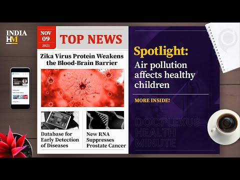 Zika Virus Protein Weakens the Blood-Brain Barrier, and More