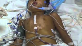 The Gift of Life Project.  PCMC-Duke University 2013