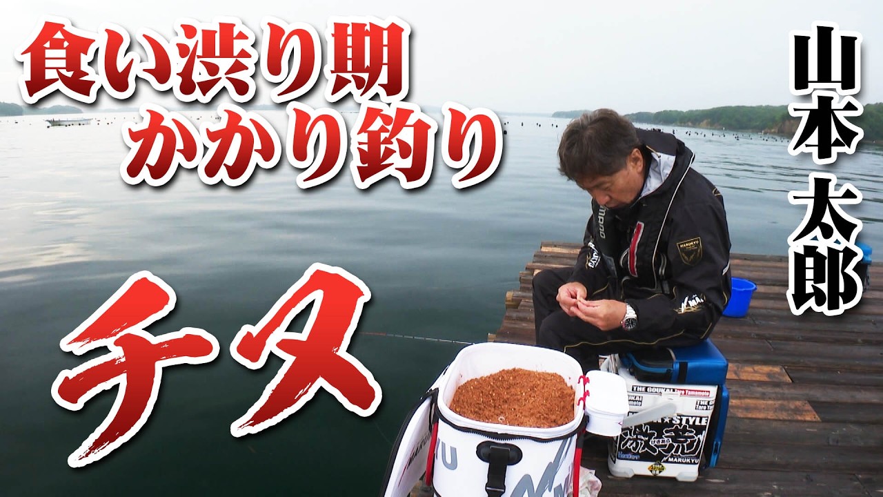 10年ぶりの英虞湾で、食い渋り期のチヌに挑む！ 1/2 『チヌ道一直線 108』＜フルver＞【釣りビジョン】