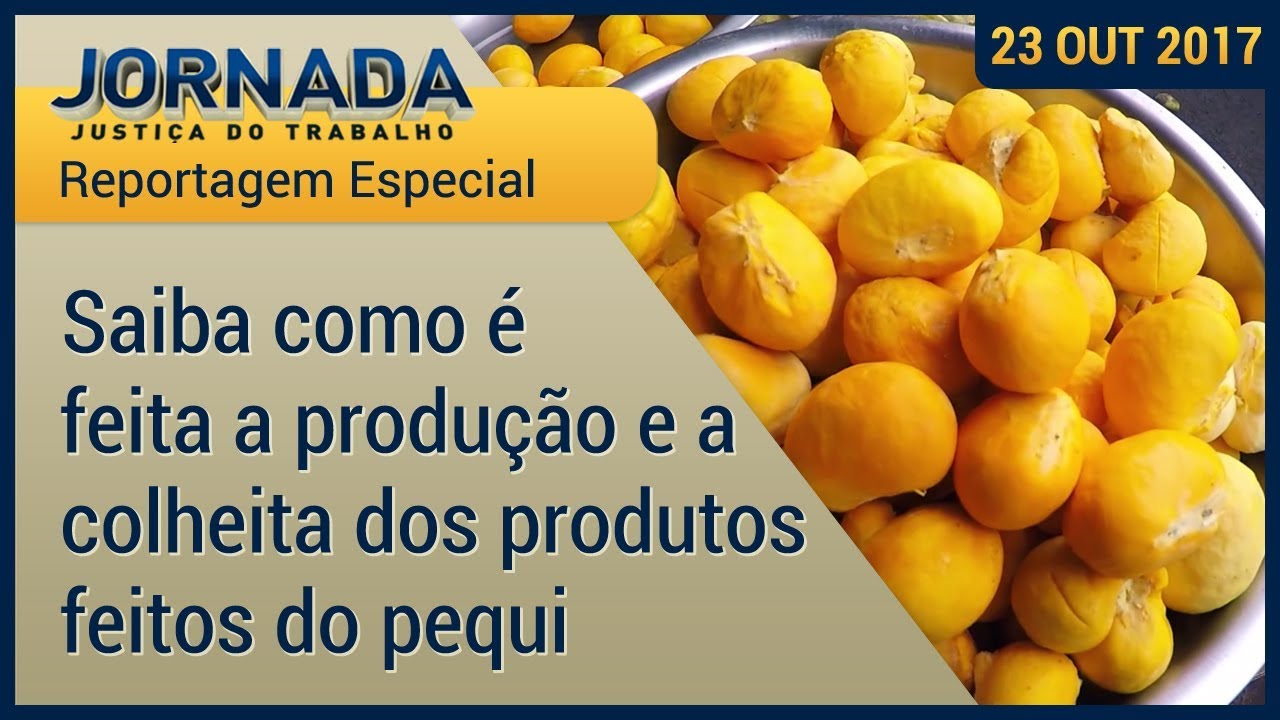 Reportagem Especial: Saiba como é feita a colheita e produção dos produtos feitos a partir do pequi
