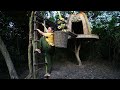 Survival Girl Living Off Grid, Build the Most Beautiful Billionaire Tree House in the woods for Live