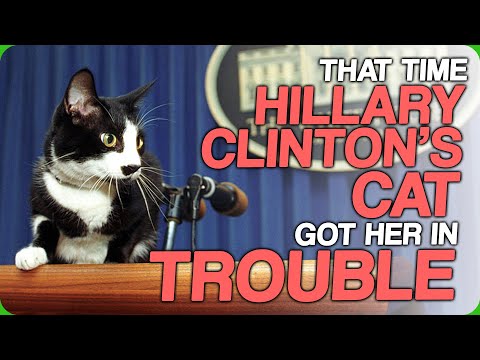 That Time Hillary Clinton's Cat Got Her In Trouble (Behold President Cat)