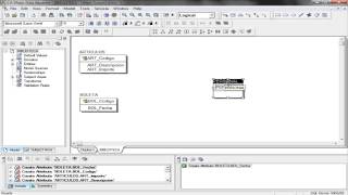 Curso de Erwin 7.3 - Modelado de Datos