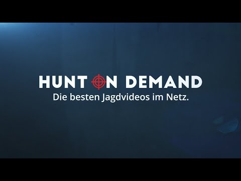 HUNT ON DEMAND - Die besten Jagdvideos im Netzt - JETZT ANMELDEN!