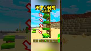 天才が発見、クッションの神仕様【マイクラ】