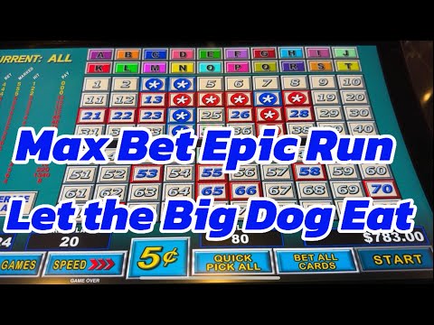 Epischer Lauf! Der Keno Big Dog Max Bet!