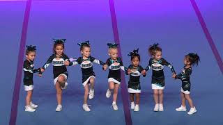 Cheer Sport Pocket Sharks   Tiny Prep 1
