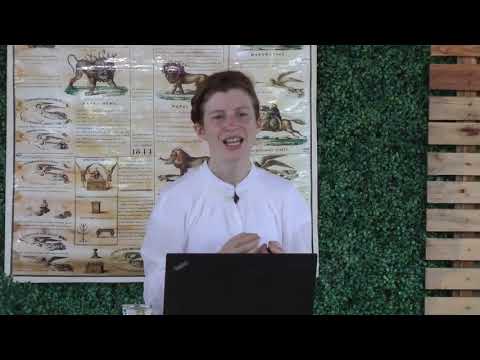 5. Acts 27 (Part 5).