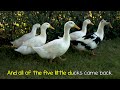 Five Little Ducks Raffi (Piano only)