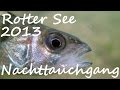 Diving - Rotter See 2013 - Nachttauchgang - Europa