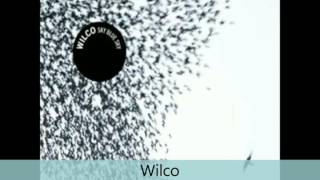 Wilco - Sky Blue Sky - Shake It Off