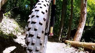 Waterdown Trail System June 2019