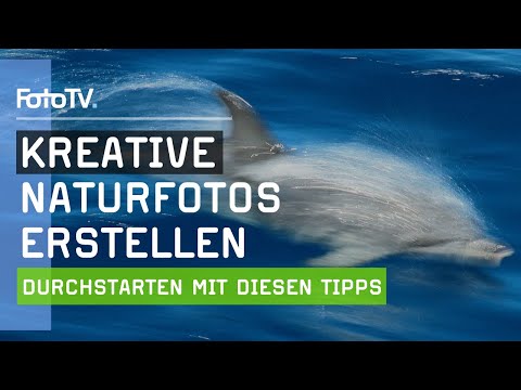 KREATIVE NATURFOTOGRAFIE mit unseren Experten 📷 | FotoTV.