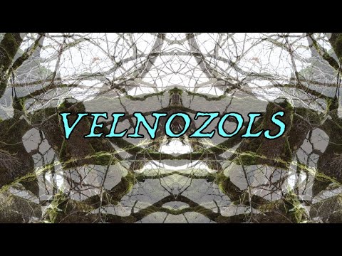 VELNOZOLS PIE KOKNESES. TEIKA PAR OZOLA LAPĀM