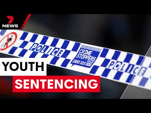 Queensland Government cops backlash over youth sentencing laws | 7 News Australia