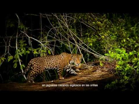Parque Nacional del Manu