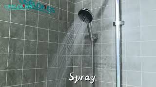 1375 Factory 2025 New Design Economic ABS Chromed Hand Shower Head with 1 Function #leelongs