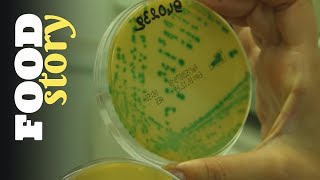 Thumbnail del capítulo