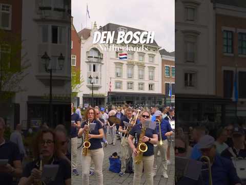 Den Bosch 🇳🇱 [Netherlands] #netherlands #travel #travelholland #holland #walkingtour #denbosch ✅