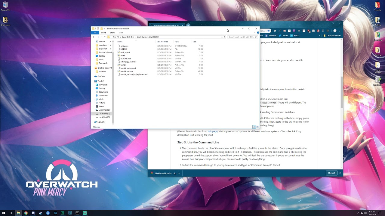 Python Tumblr Backup Process