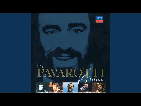 Verdi: Rigoletto / Act 2: "Possente amor"