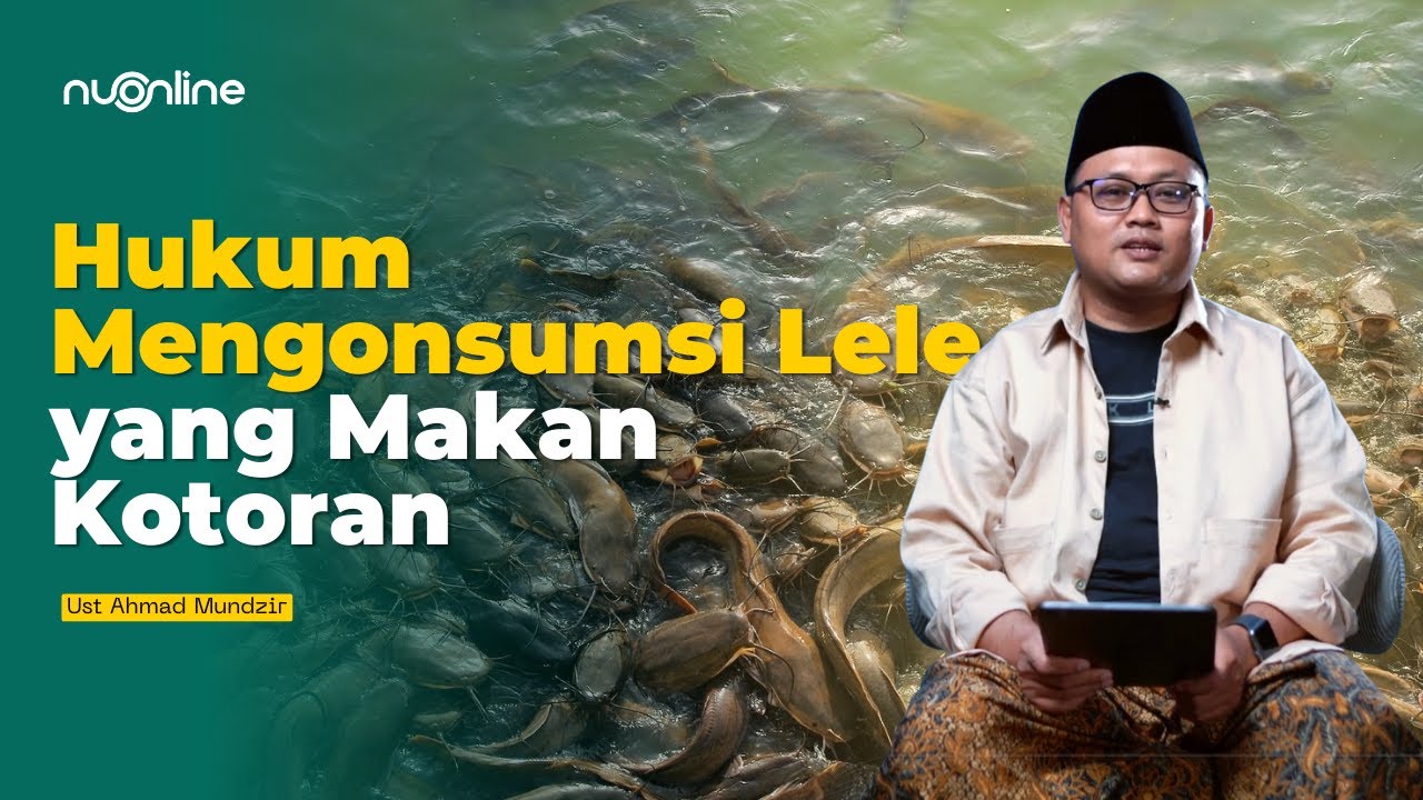 Apakah Ikan Lele yang Makan Kotoran Halal untuk Dikonsumsi?