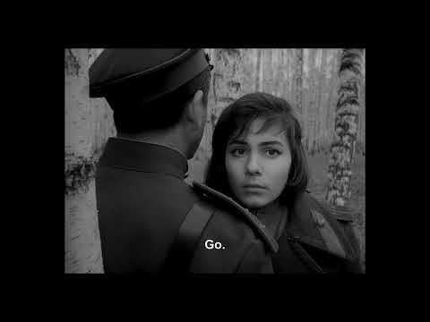 [free] (10+) indie loop kit 2023 "ghosts" | post punk + alternative loopkit 2023 | guitar loop kit