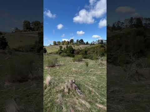 Parcela con pradera y bosque en Maullin. Región de Los Lagos