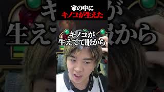 キノコ#shorts