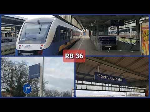 RB 36 Der Ruhrorter  / Duisburg Ruhrort BF - Oberhausen HBF