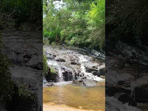Cassia dos Coqueiros SP #paz #travel