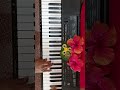 Poo Maalai Oru Paavai Keyboard Ilaiyaraja Rajini Thanga Magan