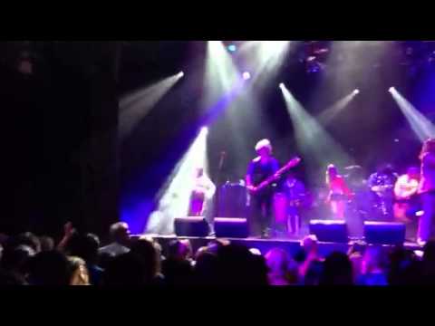 The Boogie Knights concert night