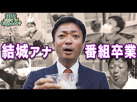 園芸 あらゆる好みに合わせた竹